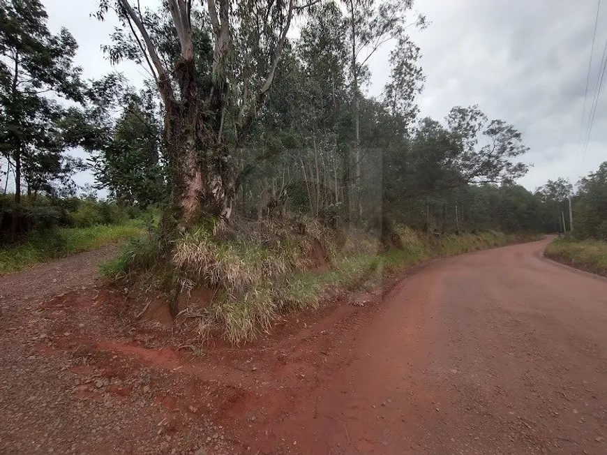 Foto 1 de Imóvel Comercial à venda, 70000m² em Rincão do Cascalho, Portão