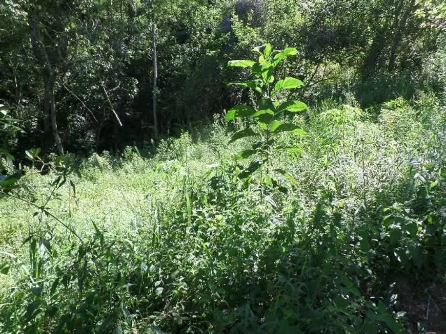 Foto 1 de Lote/Terreno à venda, 1200m² em Colônia Alpina, Teresópolis