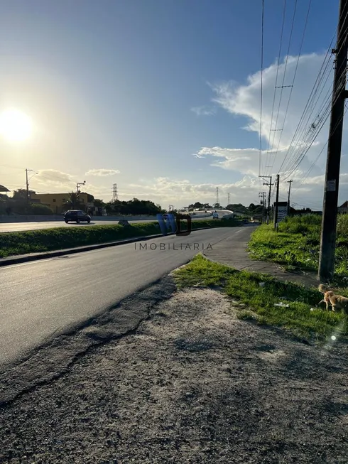 Foto 1 de Lote/Terreno à venda, 5000m² em Manilha, Itaboraí