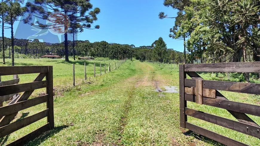 Foto 1 de Lote/Terreno à venda, 30000m² em São Miguel, Campo Alegre