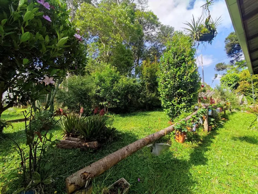 Foto 1 de Fazenda/Sítio à venda, 1200m² em Zona Rural, Tijucas do Sul