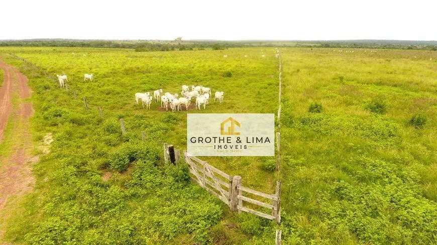 Foto 1 de Fazenda/Sítio com 11 Quartos à venda, 500m² em , Colinas do Tocantins
