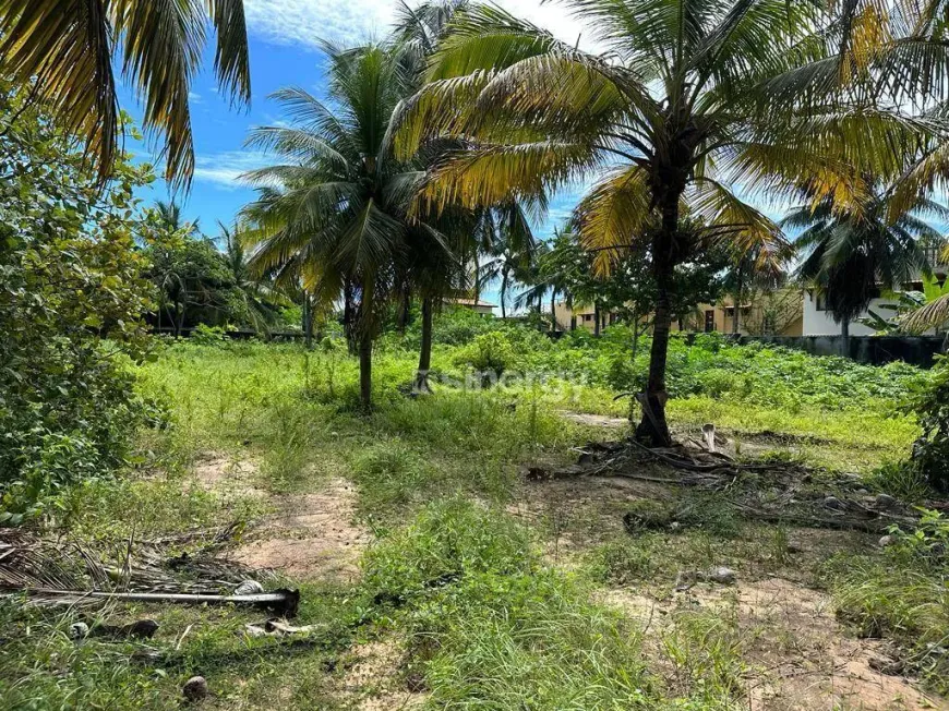 Foto 1 de Lote/Terreno à venda, 5404m² em Praia de Pipa, Tibau do Sul