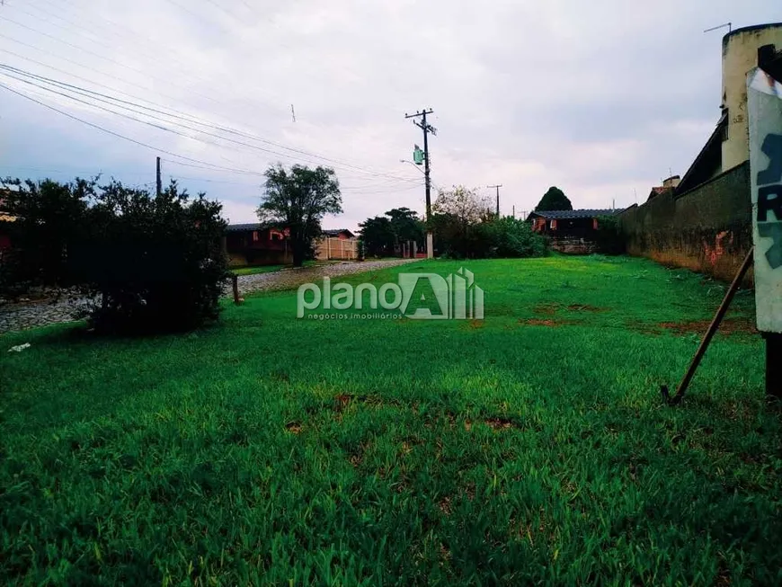 Foto 1 de Lote/Terreno à venda, 496m² em Bom Sucesso, Gravataí