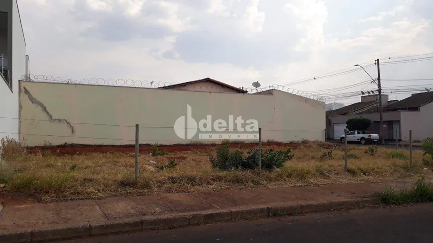 Foto 1 de Lote/Terreno para alugar, 250m² em Alto Umuarama, Uberlândia