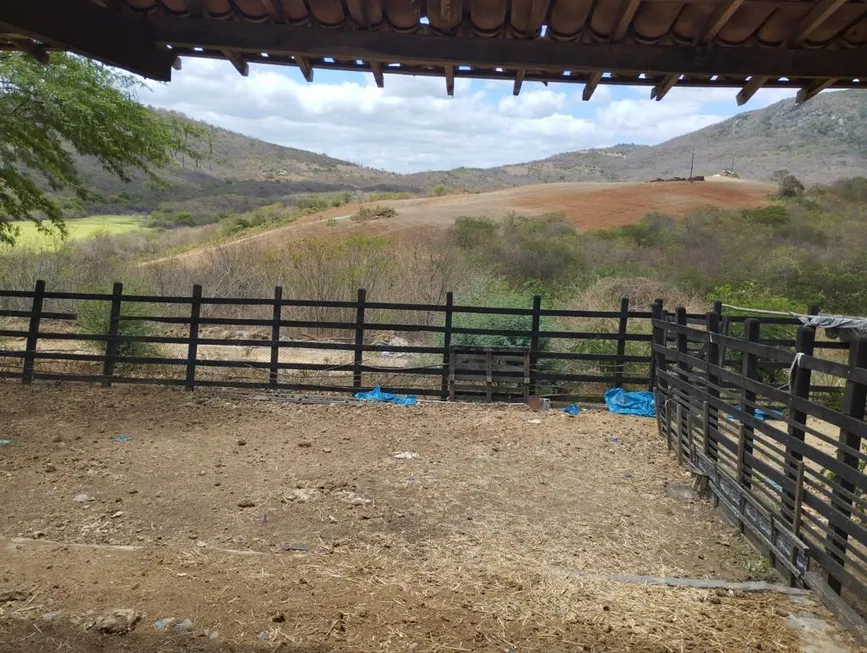 Foto 1 de Fazenda/Sítio com 3 Quartos à venda, 120m² em Serra da Cachoeira, Vertentes