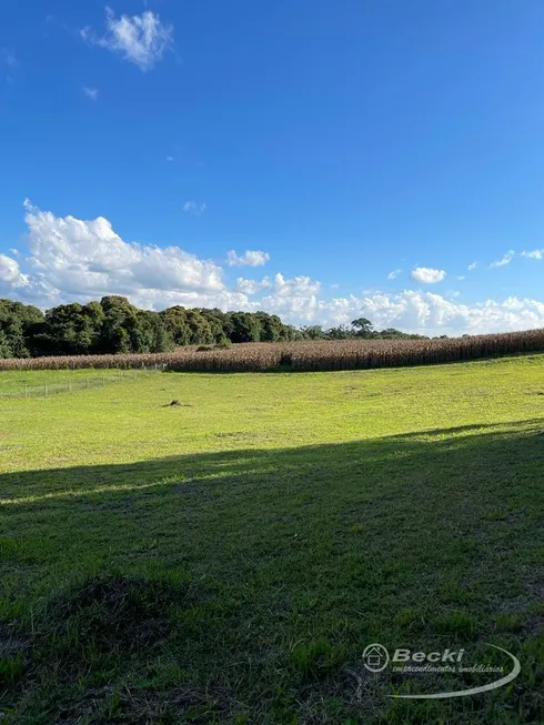 Foto 1 de Fazenda/Sítio à venda, 3527m² em Lageado, Campo Alegre