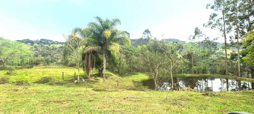 Foto 1 de Fazenda/Sítio à venda, 25000m² em Aguas Frias, Alfredo Wagner