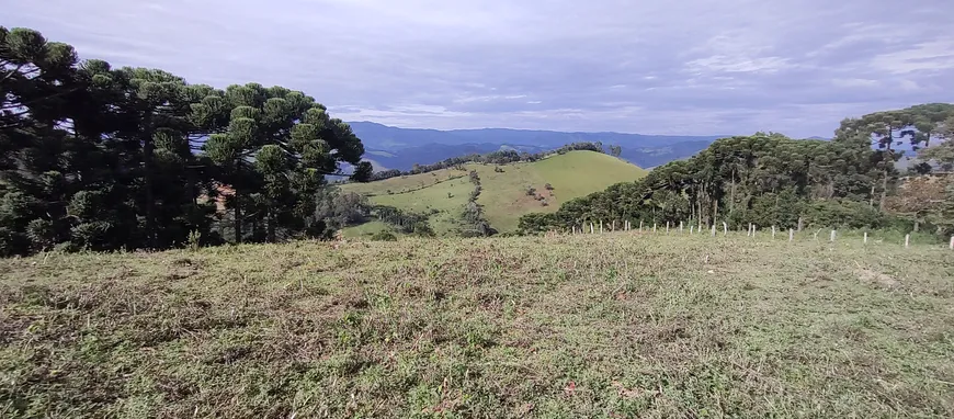 Foto 1 de Lote/Terreno à venda, 2000m² em Zona Rural, Delfim Moreira