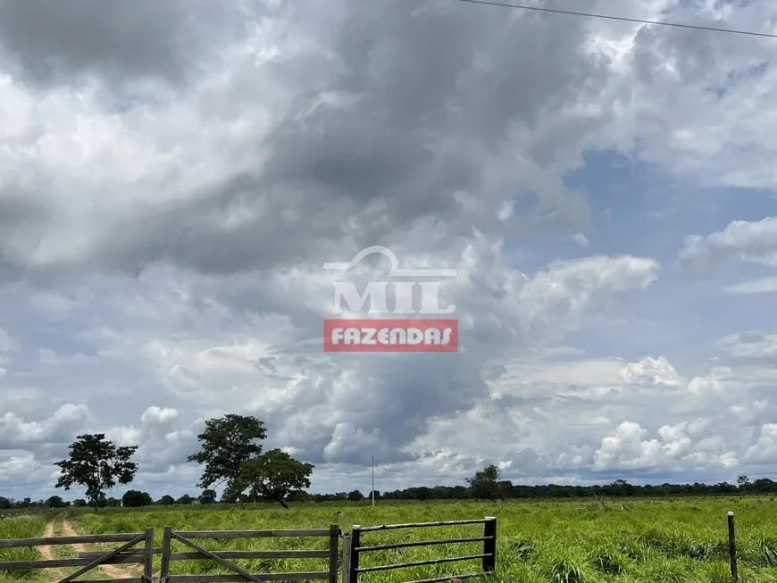 Foto 1 de Fazenda/Sítio à venda em Zona Rural, Cocalinho