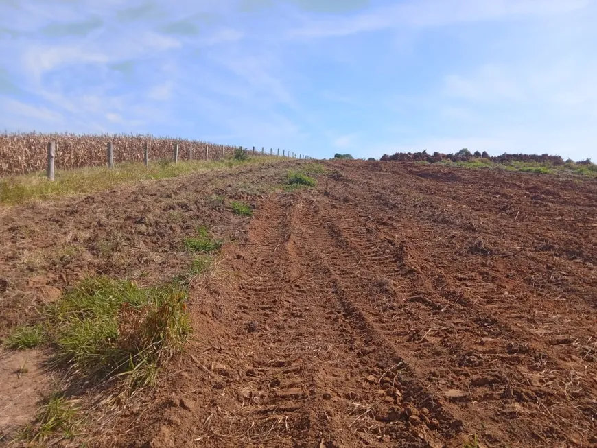 Foto 1 de Fazenda/Sítio com 1 Quarto à venda, 1m² em Zona Rural, Pilar do Sul