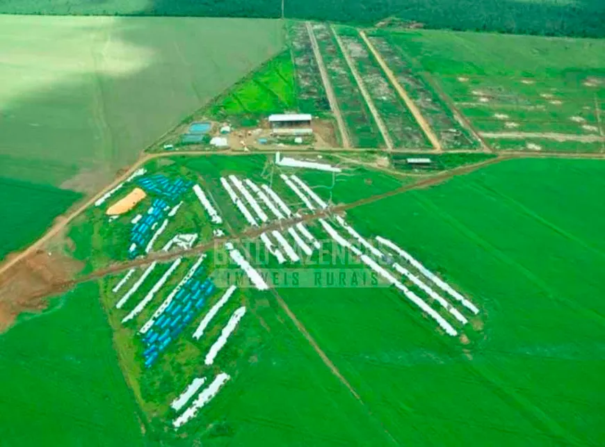 Foto 1 de Fazenda/Sítio à venda, 670000000m² em Zona Rural, Nova Ubiratã