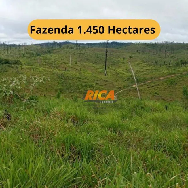 Foto 1 de Fazenda/Sítio à venda, 14500000m² em , Apuí