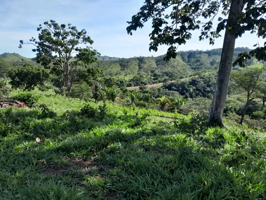 Foto 1 de Fazenda/Sítio com 2 Quartos à venda, 10160000m² em Zona Rural, Padre Bernardo