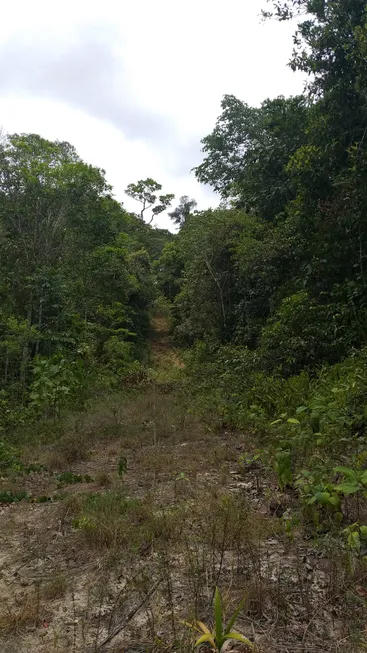 Foto 1 de Lote/Terreno à venda, 246000m² em Centro, Manaus