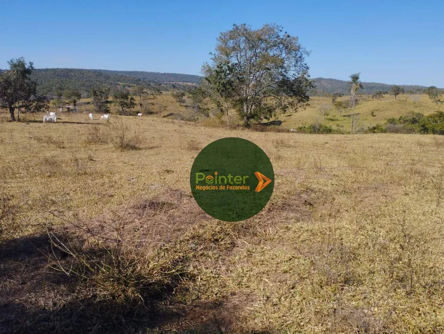 Foto 1 de Fazenda/Sítio com 1 Quarto à venda, 4694800m² em Zona Rural, Urutaí
