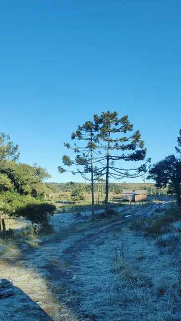 Foto 1 de Fazenda/Sítio à venda, 20000m² em Zona Rural, Urupema