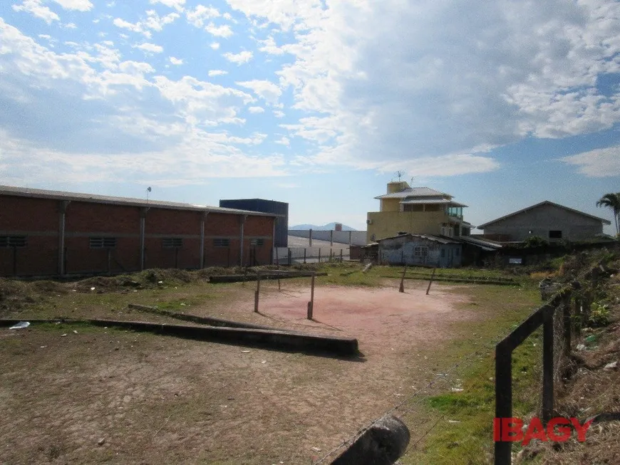 Foto 1 de Lote/Terreno para alugar, 1801m² em Morro da Bina, Biguaçu