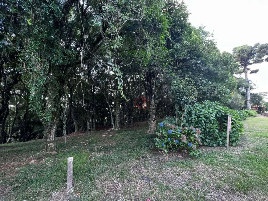 Foto 1 de Lote/Terreno à venda, 1435m² em Lagos de Gramado, Gramado