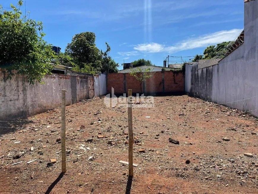 Foto 1 de Lote/Terreno à venda, 222m² em Vigilato Pereira, Uberlândia