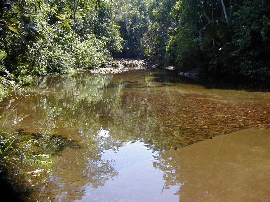 Foto 1 de Fazenda/Sítio para alugar, 10000000m² em Gaviões, Silva Jardim