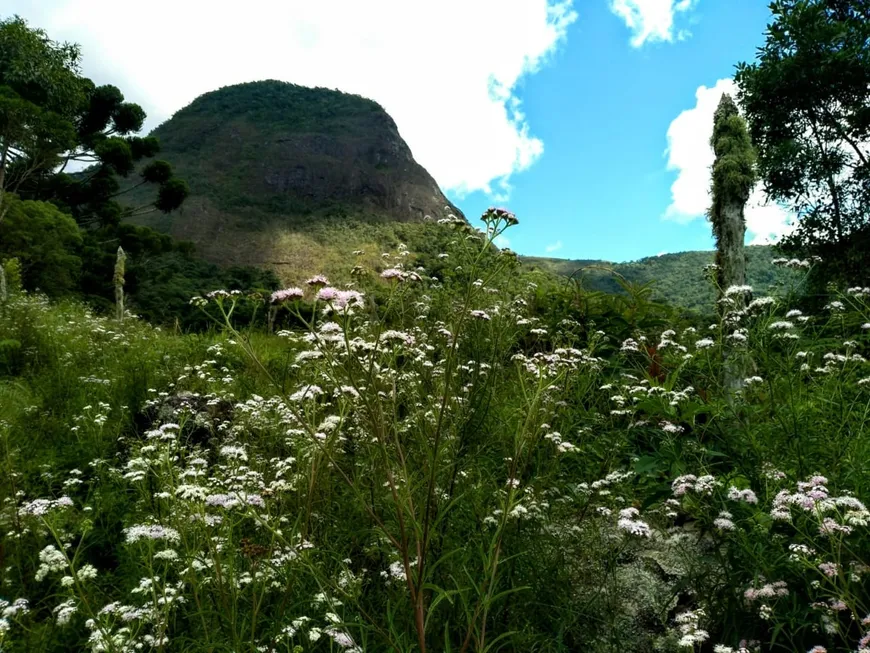 Foto 1 de Lote/Terreno à venda, 49000m² em Centro, Bocaina de Minas