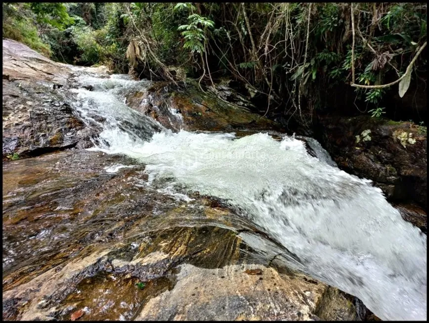 Foto 1 de Fazenda/Sítio à venda, 300m² em , Silveiras