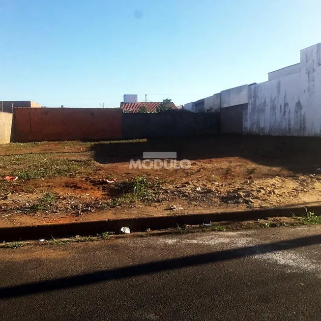 Foto 1 de Lote/Terreno à venda, 300m² em Shopping Park, Uberlândia