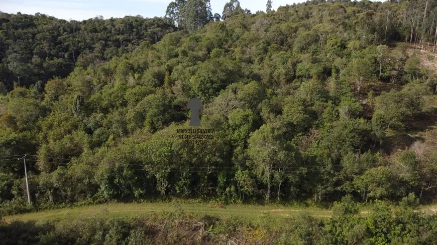 Foto 1 de Fazenda/Sítio com 1 Quarto à venda, 10000m² em Centro, Bocaiúva do Sul