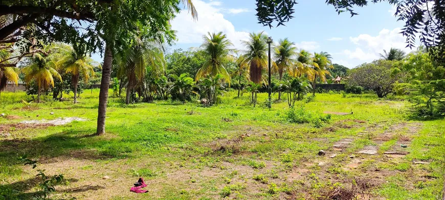 Foto 1 de Fazenda/Sítio com 3 Quartos à venda, 8000m² em Mestre Antonio, Caucaia