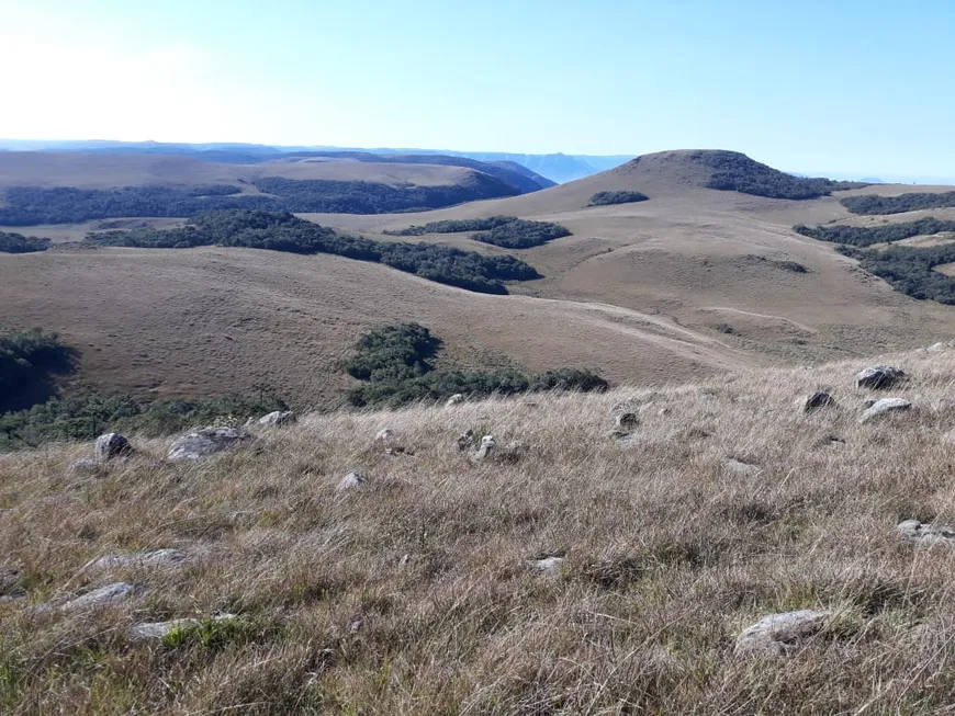 Foto 1 de Fazenda/Sítio com 1 Quarto à venda, 6000000m² em Zona Rural, Cambará do Sul