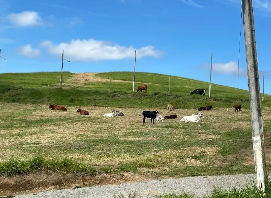 Foto 1 de Lote/Terreno à venda, 500m² em Pouso Alegre, Santa Isabel