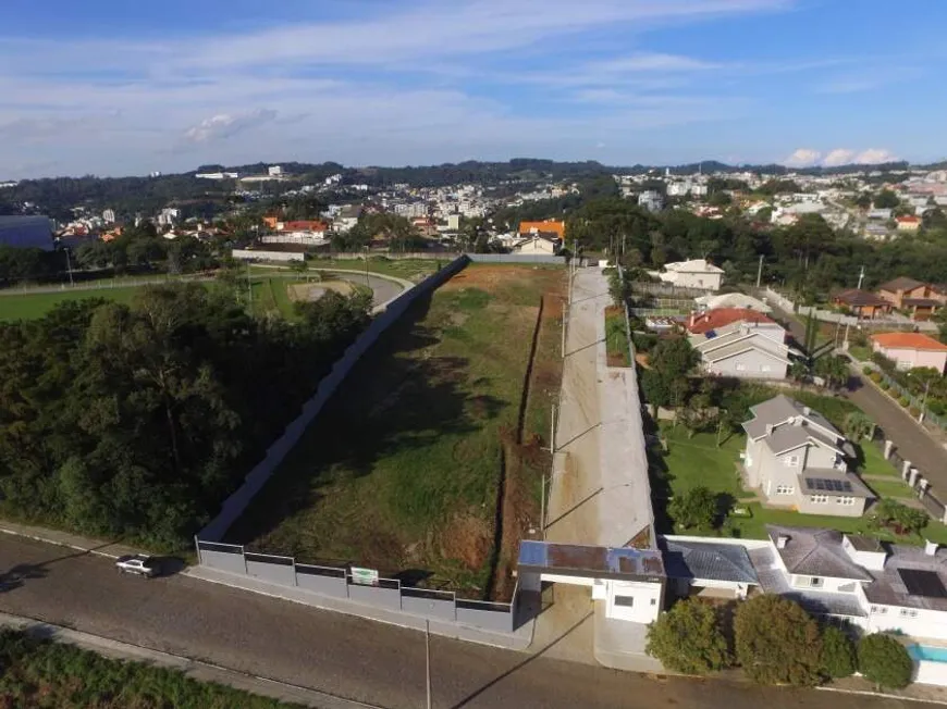 Foto 1 de Lote/Terreno à venda, 562m² em Peterlongo, Garibaldi