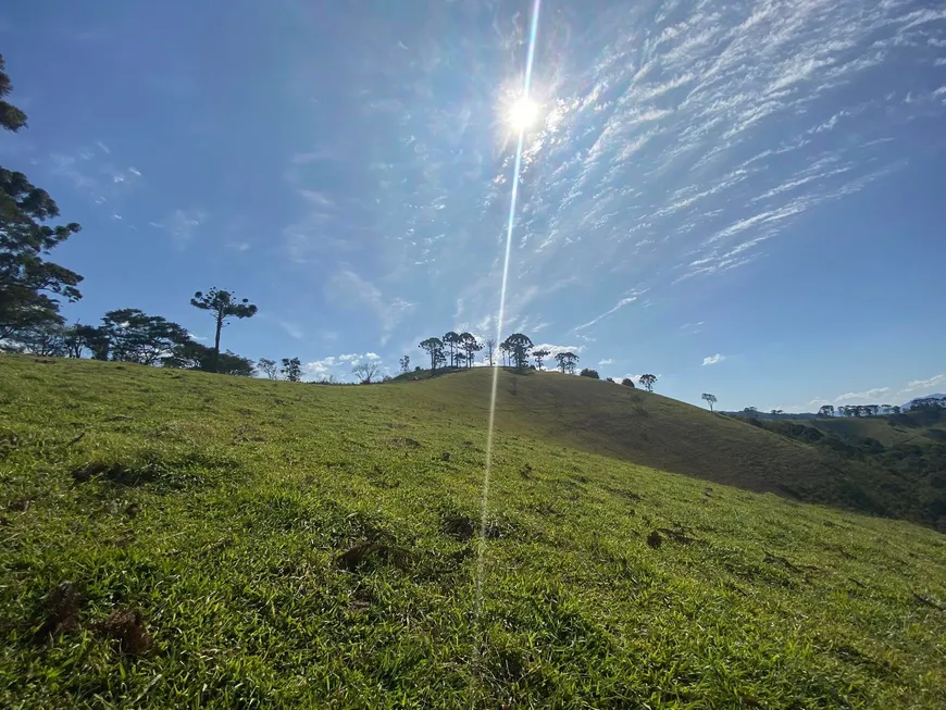 Foto 1 de Fazenda/Sítio com 1 Quarto à venda, 30000m² em Zona Rural, Santo Antônio do Pinhal