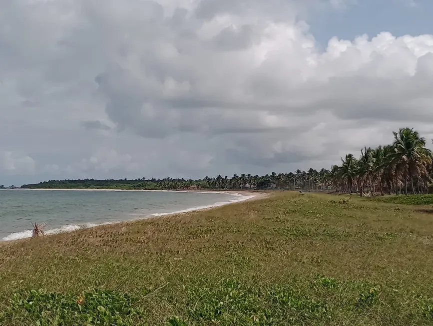 Foto 1 de Lote/Terreno à venda, 490m² em Praia de Mamucubinha, Tamandare