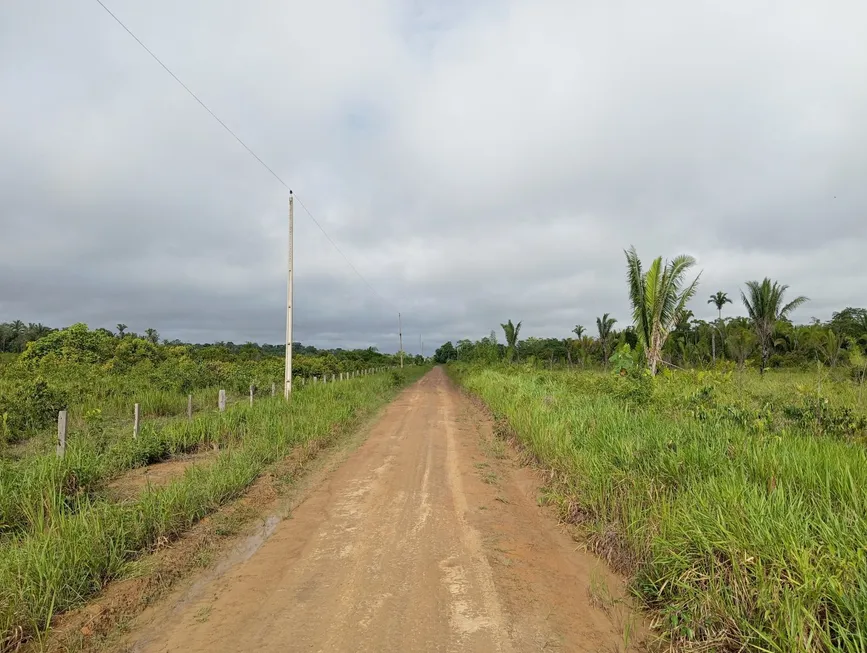 Foto 1 de Fazenda/Sítio com 1 Quarto à venda, 5000m² em , Canutama