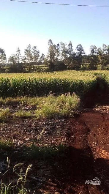 Foto 1 de Fazenda/Sítio com 1 Quarto à venda, 13612m² em Parque Industrial, Maringá