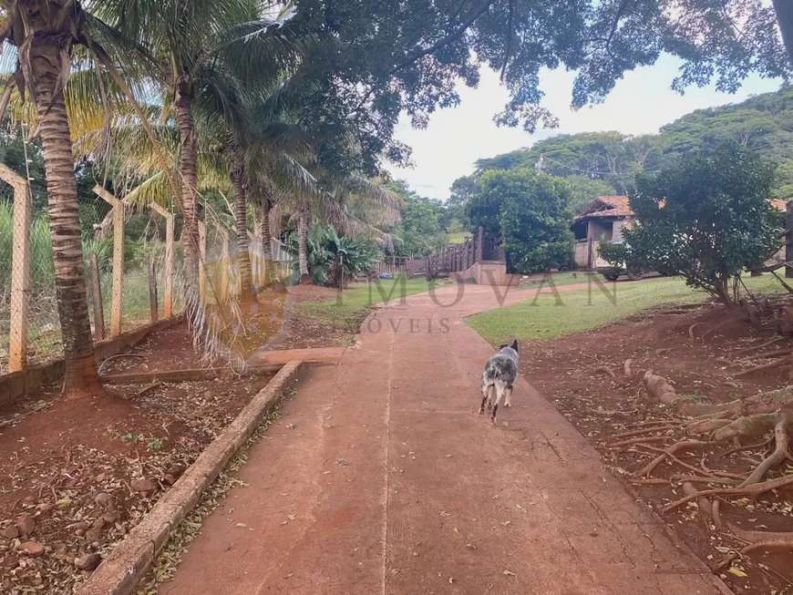 Foto 1 de Fazenda/Sítio com 3 Quartos à venda, 1000m² em Zona Rural, São Simão