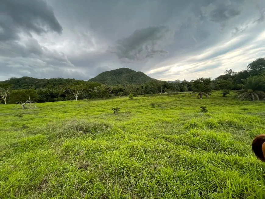 Foto 1 de Fazenda/Sítio à venda em Zona Rural, Santo Antônio do Leverger