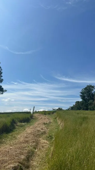 Foto 1 de Lote/Terreno à venda, 500m² em Morro Grande, Ibiúna