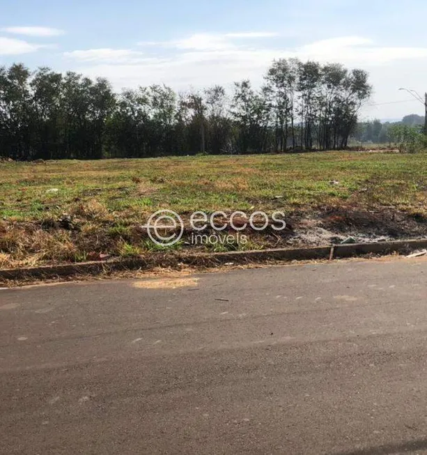 Foto 1 de Lote/Terreno à venda, 300m² em Jardim Ipanema, Uberlândia