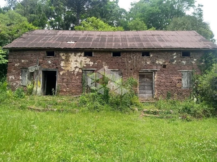 Foto 1 de Fazenda/Sítio com 2 Quartos à venda, 120000m² em São Francisco, Bento Gonçalves