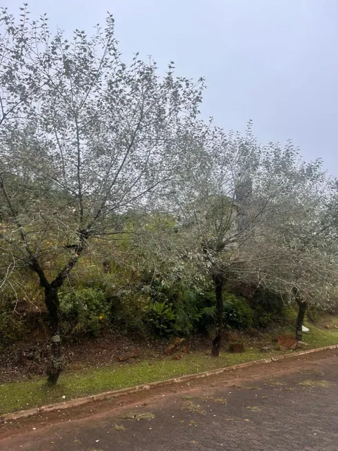 Foto 1 de Lote/Terreno à venda, 600m² em Vale das Colinas, Gramado