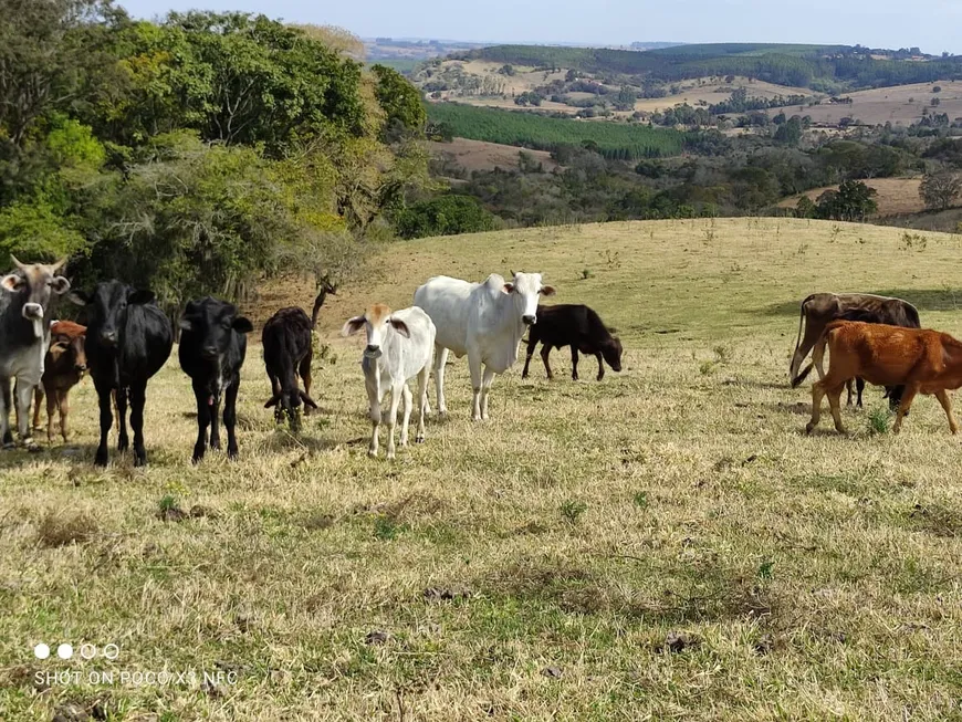 Foto 1 de Fazenda/Sítio com 2 Quartos à venda, 50m² em Zona Rural, Angatuba