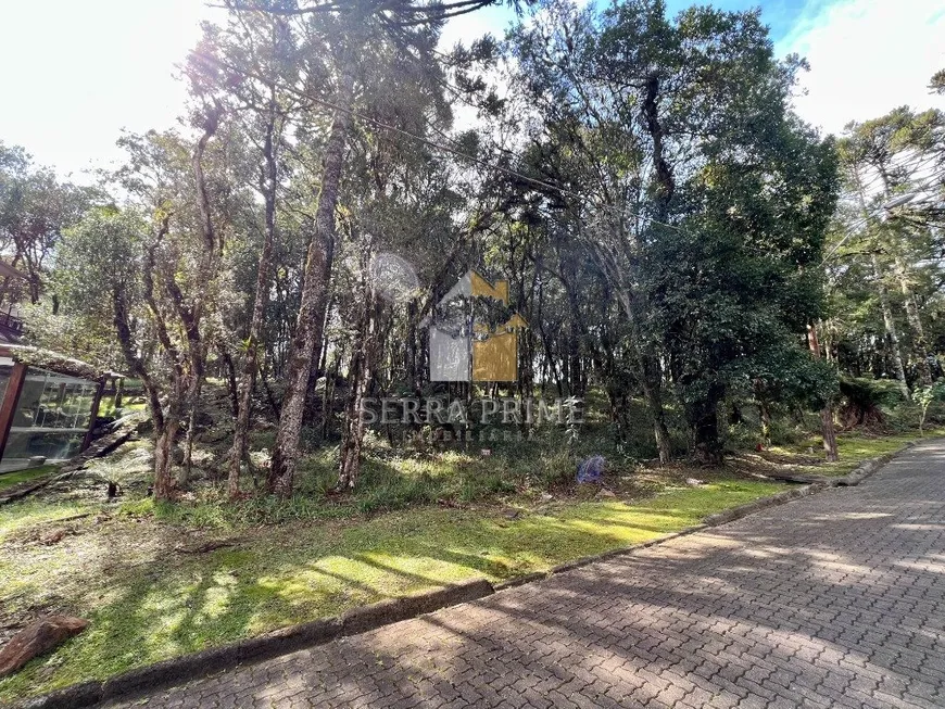 Foto 1 de Lote/Terreno à venda, 745m² em Pinheiro Grosso, Canela