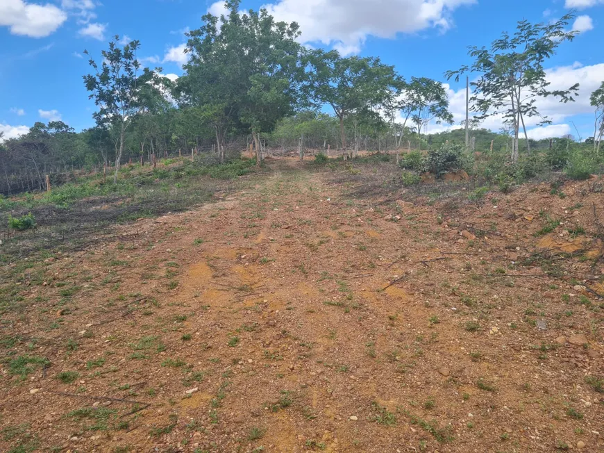 Foto 1 de Fazenda/Sítio com 2 Quartos à venda, 6000m² em Zona Rural, Santana de Pirapama
