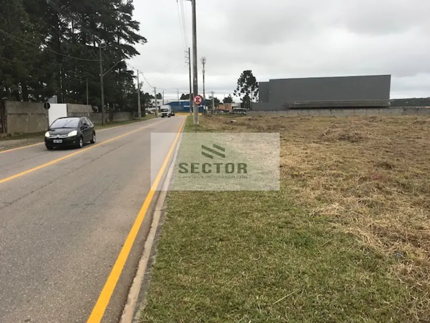 Foto 1 de Lote/Terreno para alugar, 10368m² em Roseira de São Sebastião, São José dos Pinhais