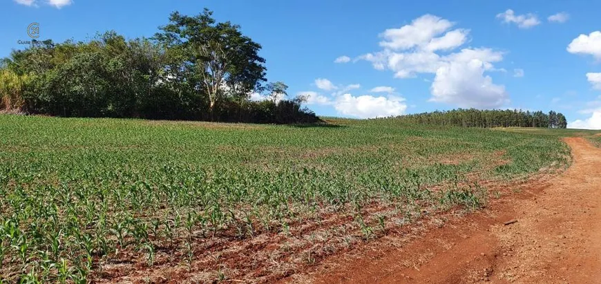 Foto 1 de à venda, 208120m² em Rodovia, Sertanópolis