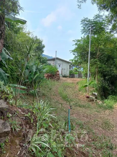 Foto 1 de Lote/Terreno à venda em Galópolis, Caxias do Sul