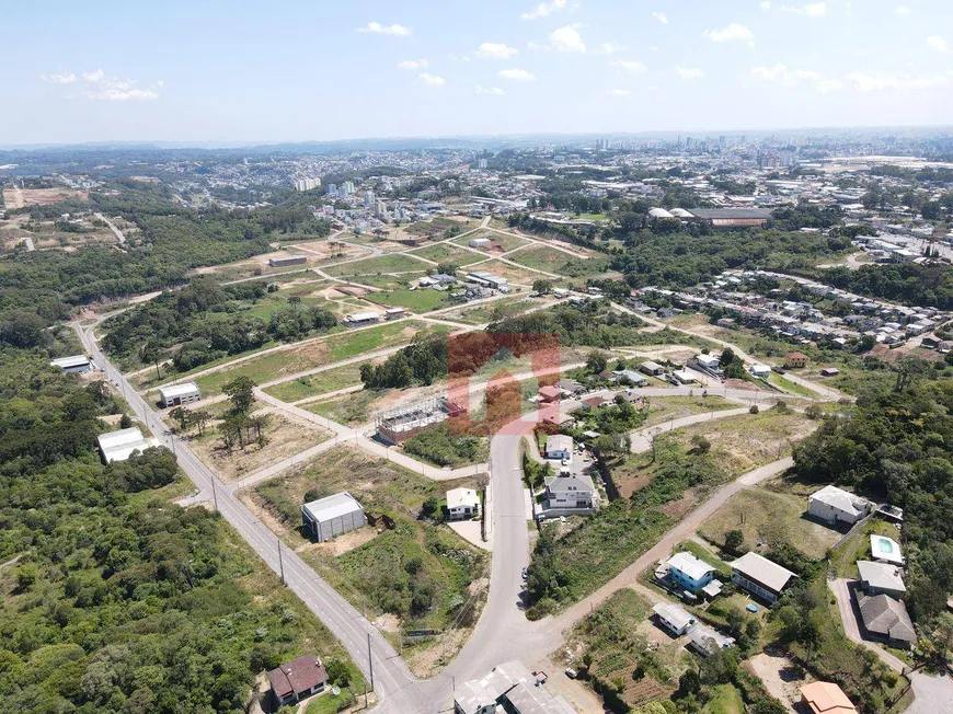 Foto 1 de Lote/Terreno à venda, 379m² em São Ciro, Caxias do Sul